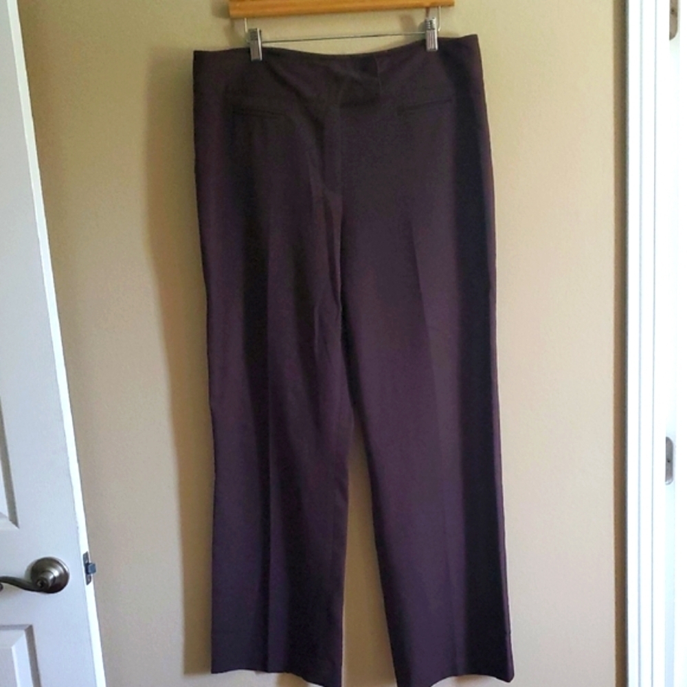 Pantology Designer Chic Women's Brown Trousers